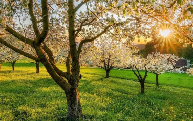پیش بینی هفتگی بارش و دمای هوای کشور از اواسط اردیبهشت ماه تا اواخر خرداد ماه اعلام شد