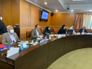 نشست تخصصی با موضوع واکاوی اثرات تغییر اقلیم بر سلامت در فرهنگستان علوم پزشکی ایران برگزار شد